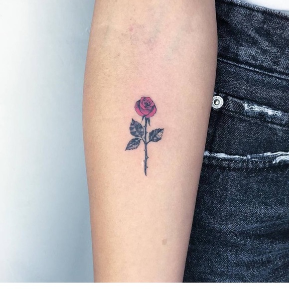 Meet your Posher, Savannah - Picture 1 of 1